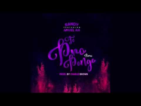 Randy Nota Loka Ft Anuel AA   Te Propongo Official Remix1