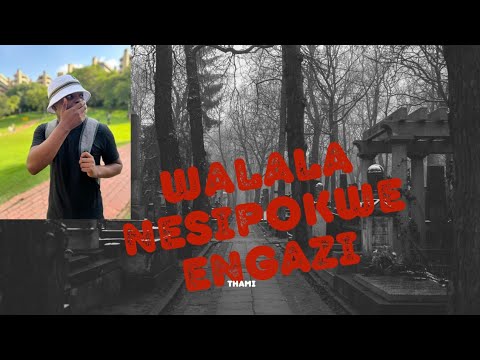IZIPOKI : WALALA NESIPOKI🔥part 3( Zonge)