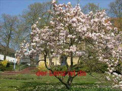 Veronika, der Lenz ist da