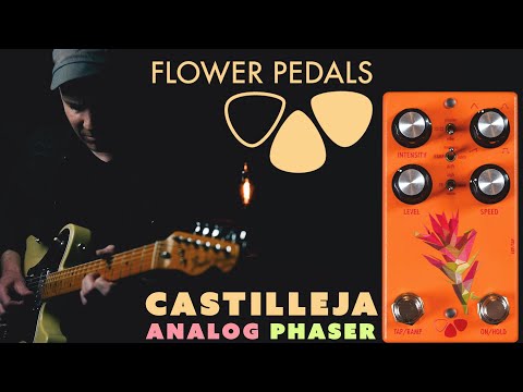 Demos in the Dark // Flower Pedals Castilleja Phaser // Effects Pedal Demo