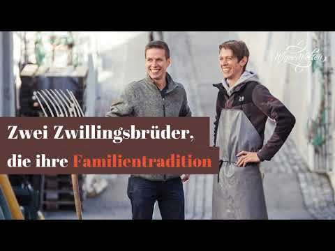 Winzerhof Sax in Langenlois / Kamptal