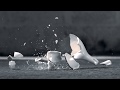 Storopack - AIRplus®