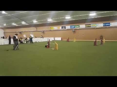 Vaisu Tornio 7.5.2017 D-rata