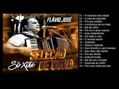 SELECAO DE FLAVIO JOSE