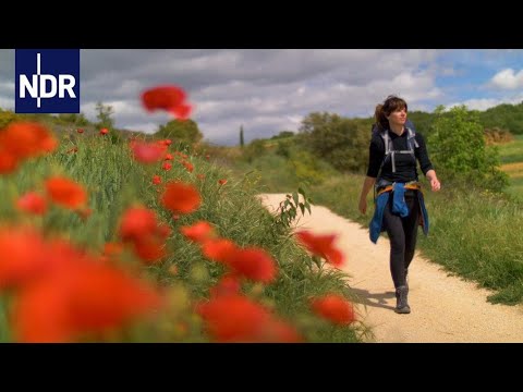 Pilgern: Nach einer Lebenskrise auf dem Jakobsweg | 7 Tage | NDR Doku