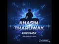 Ahasin Tharuwak EDM Progressive Mix අහසින් තරුවක් Malani Bulathsinhala