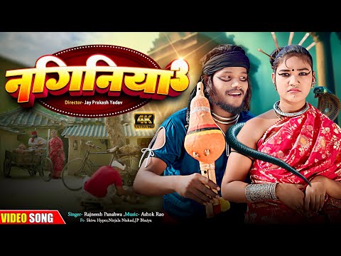नगिनिया 3 | चिथारू चिथुराईन का न्यू गाना | Bhojpuri Comedy Song 2026 | Rajneesh panahwa #funnysong 