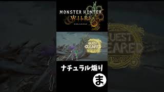 煽るつもりはなかったごめん　#モンスターハンターワイルズ　#monsterhunterwilds #モンハンワイルズ