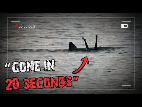 Most Horrific Shark Attack Ever Recorded: Vladimir Popov Tragedy