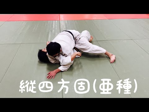 【寝技研究会】縦四方固(亜種)