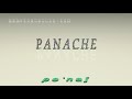 panache - pronunciation + Examples in sentences and phrases