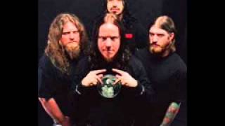Transgenic Music Video