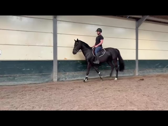 Riding movie at home I'm Special T Z