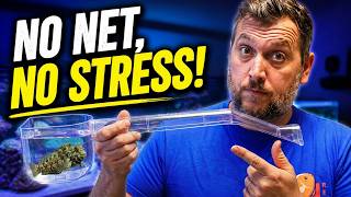 Stress-Free Fish Transfer & Acclimation: My NEW Favorite Aquarium Tool!