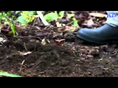 That's soulless! - Pity private beliefs Vs Thrilling reality