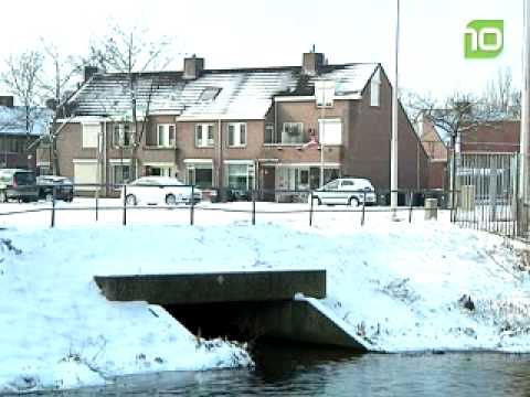 Hekken aan Oostelijke Havendijk in Roosendaal