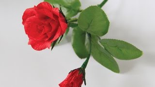 Rose paper flower tutorial - Làm hoa hồng bằng giấy nhún