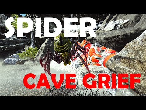 Griefing Spider Cave - Ark Official Small Tribes PvP