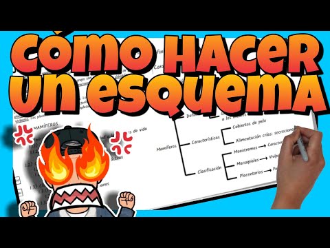 📚 Cómo HACER un ESQUEMA (paso a paso)