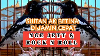 Download lagu SUITAN ANIS KEMBANG BETINA UNTUK PANCINGAN ANIS KEMBANG JANTAN CEPAT NGEROLL mp3