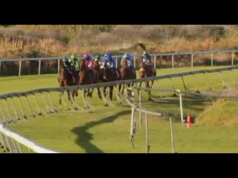 HOEDSPRUIT -  WORLD SPORTS BETTING LEGAL EAGLE STAKES (Grade 3)