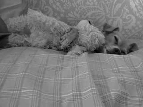 Chapa, Chuchu, and Lucy