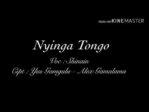 Nyinga Tongo - Shinain | lyric video