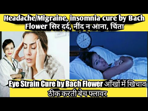 vervain bach flower remedies vervain benefits bach flower vevain bach flower hindi@DrNosheenAli