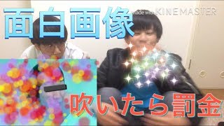 【爆笑】面白画像見て吹いたら罰金！  新しい人登場？
