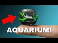 The Smallest Aquarium In The World