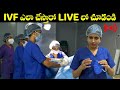 IVF  ఎలా చేస్తారో LIVE లో చూడండి | IVF Step By Step Procedure | Dr. Jyothi, Fertil