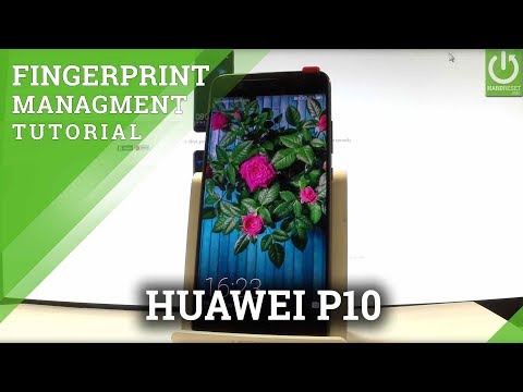 How to Add Fingerprint HUAWEI P10 - Fingerprint Sensor
