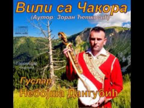 Vili sa Čakora-Guslar Nebojša Dangubić