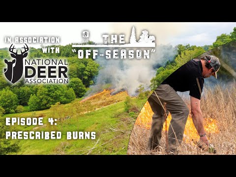 The "Off-Season" | S2 : E4 | Prescribed Burns
