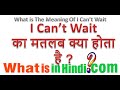 What is the meaning of I Can't Wait in Hindi | I Can't Wait ka matlab kya hota hai
