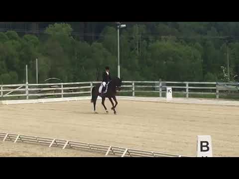 Lukretius po Fidertanz na prodej