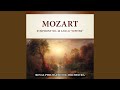 Symphony No.40 In D Minor: Molto Allegro (2021 Digitally Remastered)