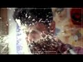 Thirunelveli Alvaada Thiruchi Mala Saamy Movie Song ChiyaanVikram Thirisa Hari Sir