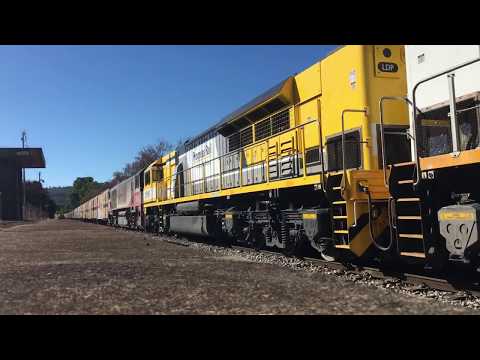 2MP9 Hawthorn 23/01/2018