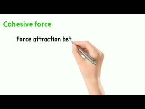 Fluid Mechanics-Forces, Viscosity and effects, Newton law,Bulk Density, Surface Tension etc.