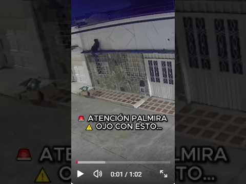 🚨 ATENCIÓN PALMIRA: OJO CON ESTO  ⚠️ VALLE DEL CAUCA