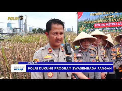 LIVE - POLISI MELAKSANAKAN PANEN RAYA JAGUNG