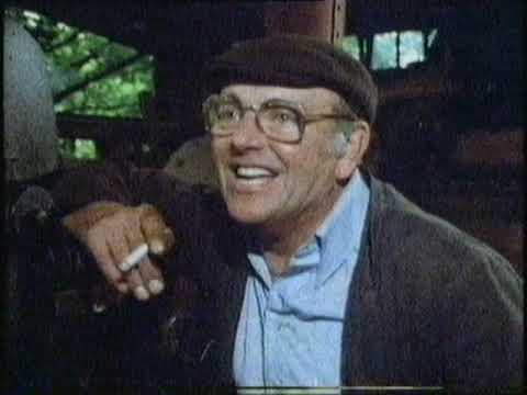 A Year with Fred - A Beautiful Pile of Bricks (part 1)