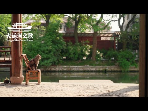 Everlasting Vitality: Song of the Grand Canal