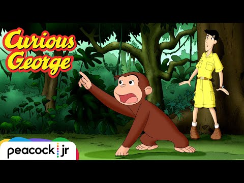 おさるのジョージ | こわいものしらず (Catch That Monkey! | CURIOUS GEORGE)