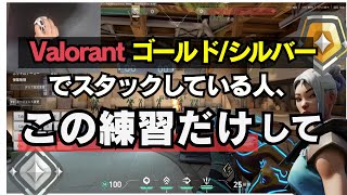 【元レディアントが解説】ゴールドシルバー（プラチナ）でスタックする人が集中すべき２つのことはこれだけです。