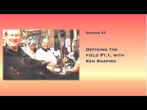 Ep 27 - Defining the field (Pt1), with Ken Shapiro