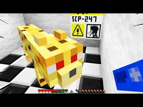 non accarezzare questo gatto - minecraft scp 247