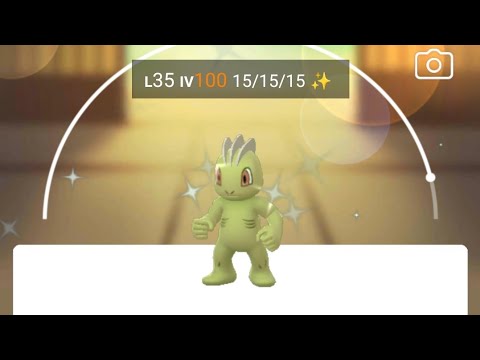 pgsharp Shundo Machop Pokemon Go 100 iv Shiny✨ Level 35 Machop Pgsharp