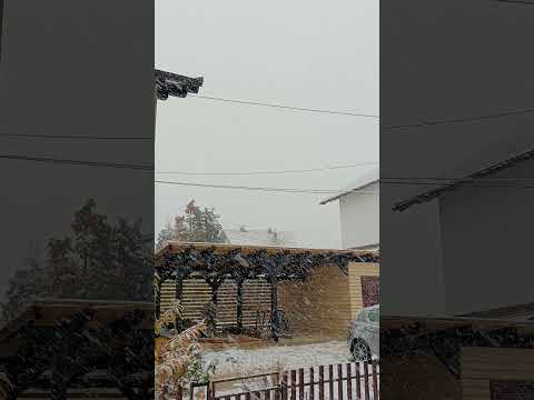 Drvena garaža za 2 auta sa ostavom za alat